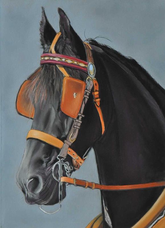 cheval att2.JPG -  Pastel format /size 40 x 50